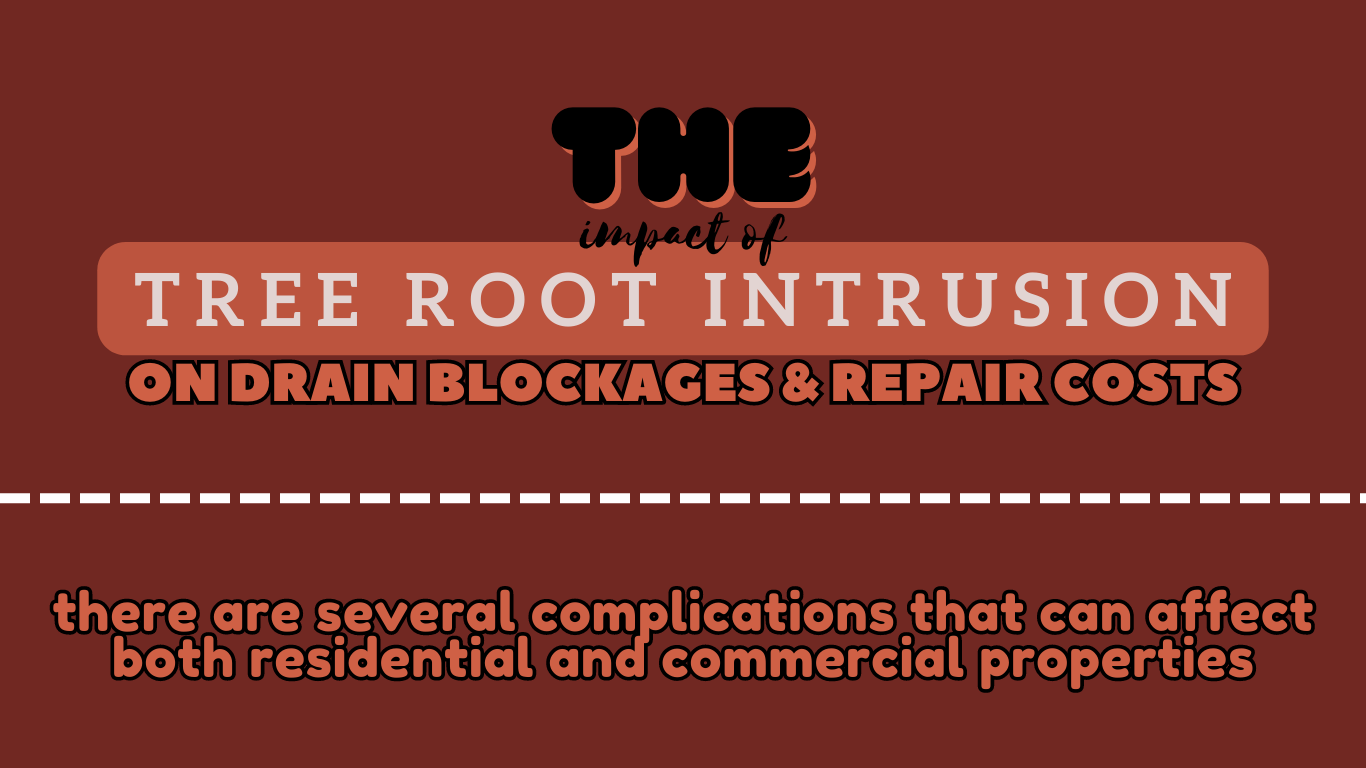 Impact of Tree Root Intrusion on Drain Blockages